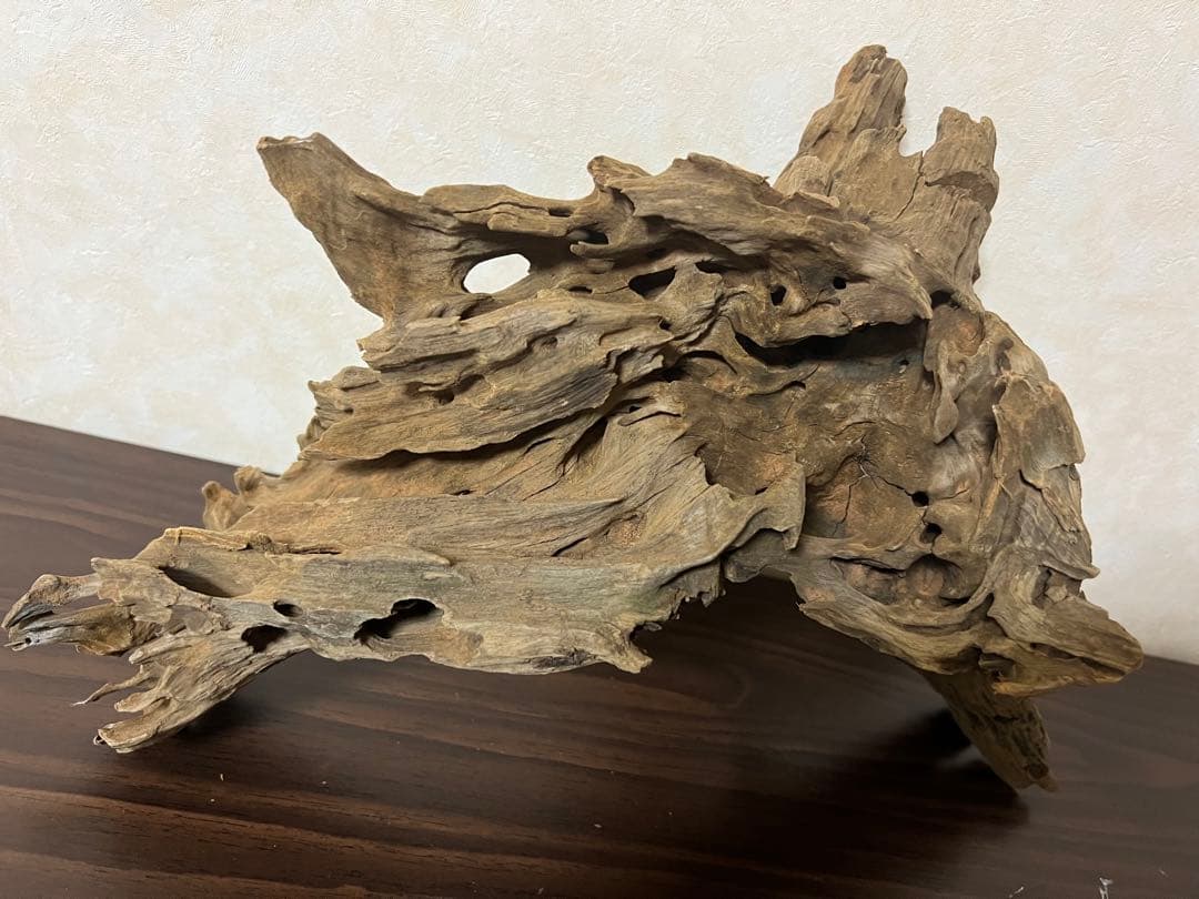 XM-197 流木　マシンガンウッド　アクアリウム　ブランチウッド　沈水確認済