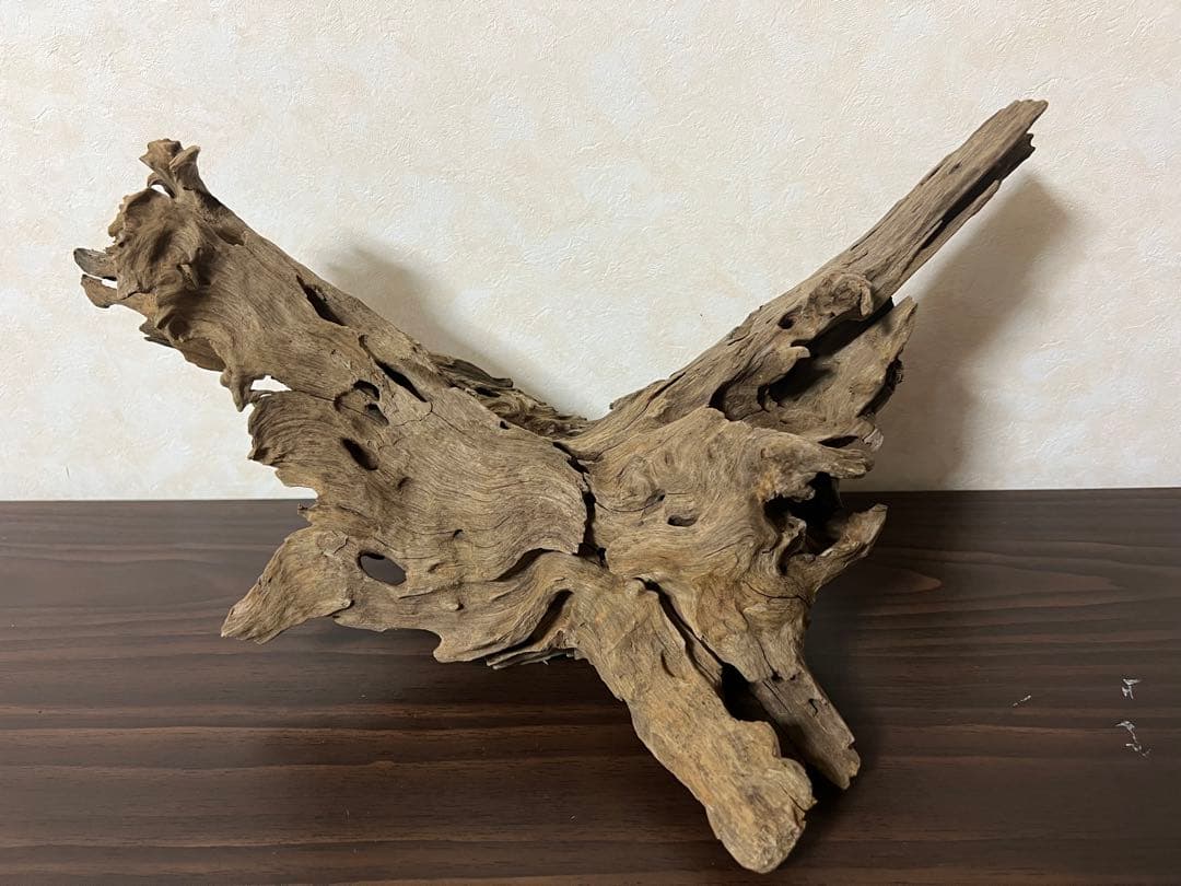 XM-197 流木　マシンガンウッド　アクアリウム　ブランチウッド　沈水確認済