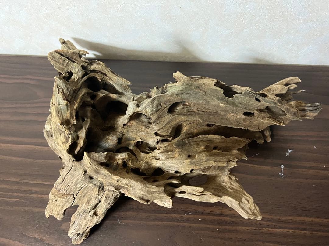 XM-197 流木　マシンガンウッド　アクアリウム　ブランチウッド　沈水確認済