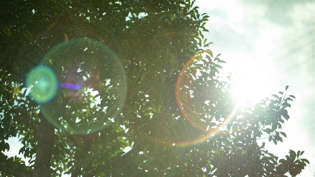 【オールドレンズ】Super Takumar 55mm f1.8 後期