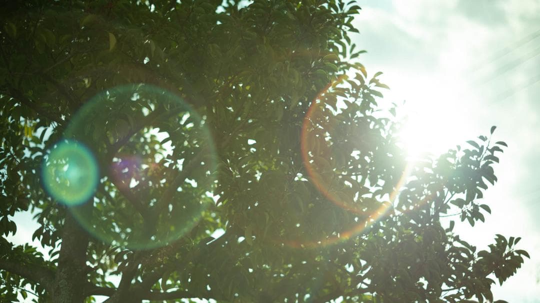 【オールドレンズ】Super Takumar 55mm f1.8 後期