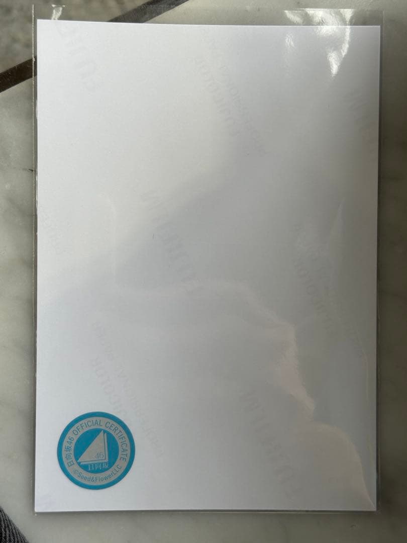 河田陽菜 サンタ衣装 チュウ 直筆生写真