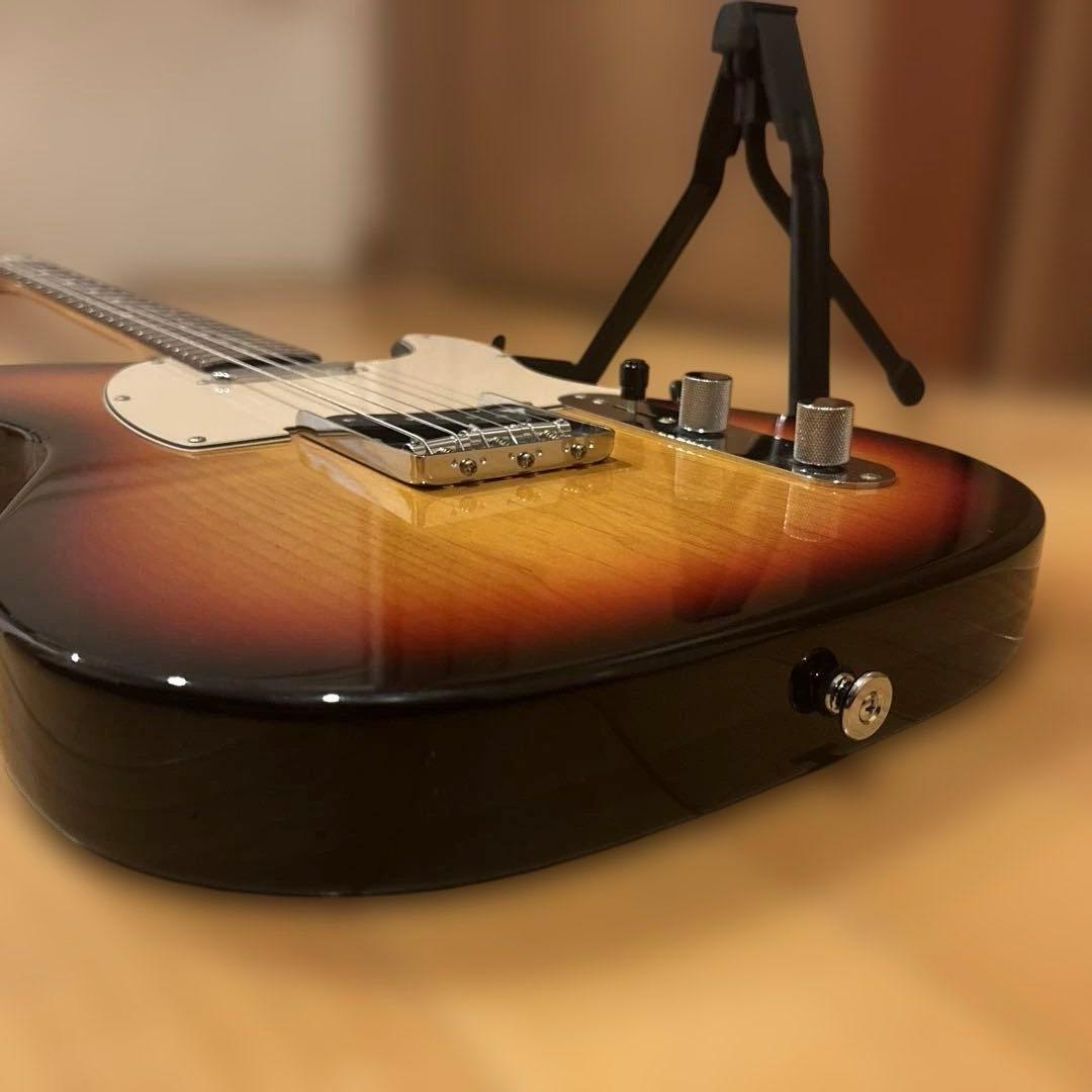 バッカス Bacchus GLOBAL SERIES テレキャスター ケース付