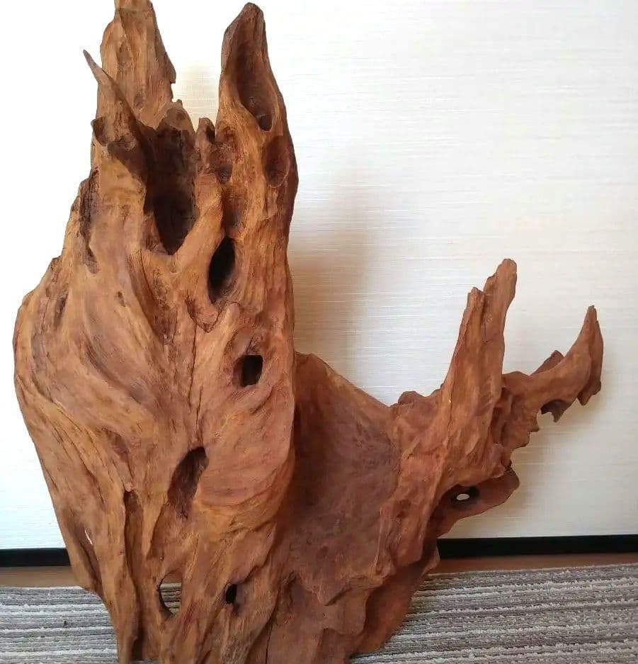 鹿児島県　天然木　オブジェ　置物　切り株