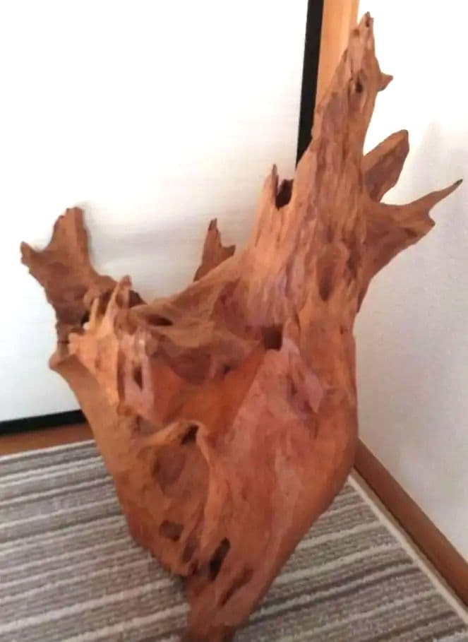 鹿児島県　天然木　オブジェ　置物　切り株