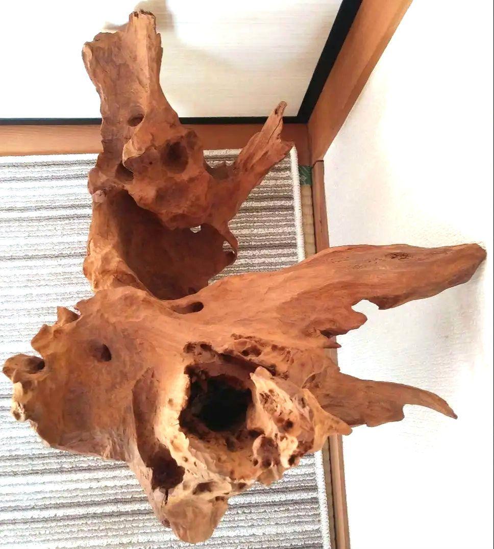 鹿児島県　天然木　オブジェ　置物　切り株