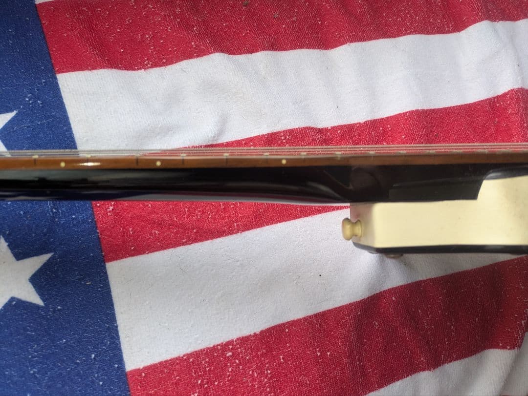 ジミー・ペイジ愛用！　Danelectro エレキギター