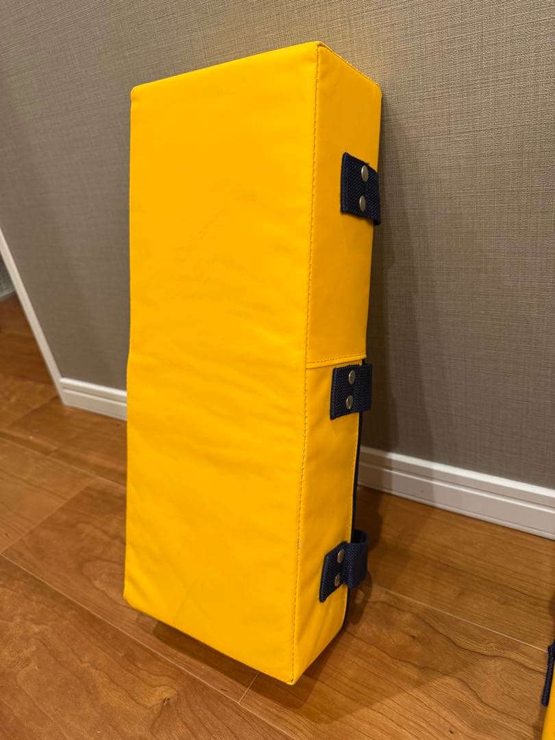 【国産】イサミ/ISAMI 空手キックミット 黄色（2個セット）