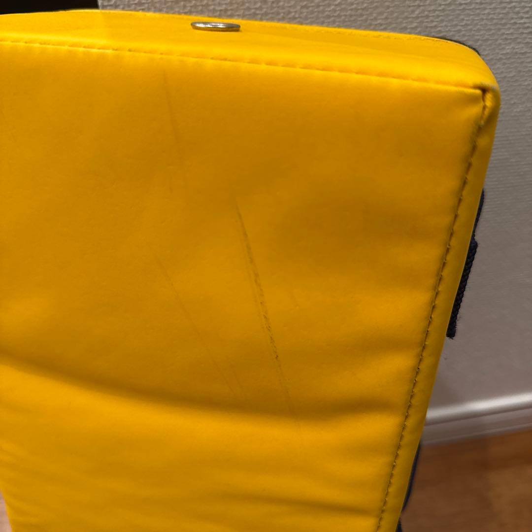 【国産】イサミ/ISAMI 空手キックミット 黄色（2個セット）