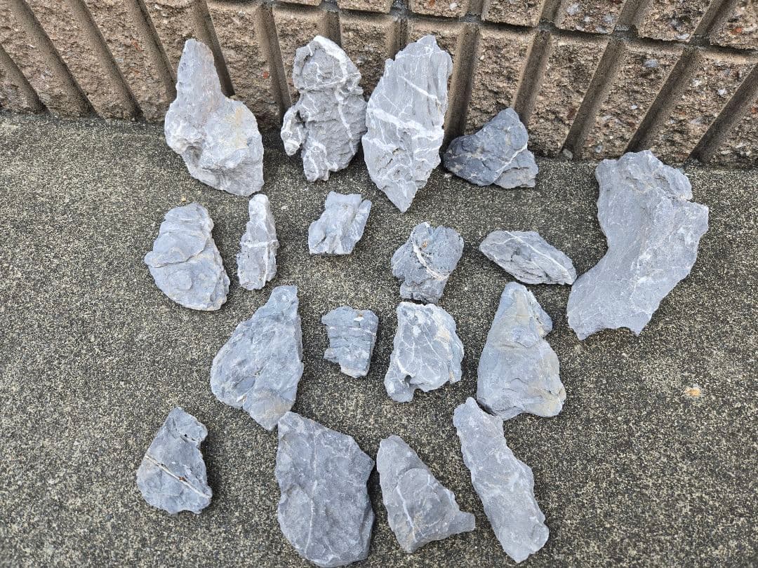 青龍石　アクアリウム水槽用セット