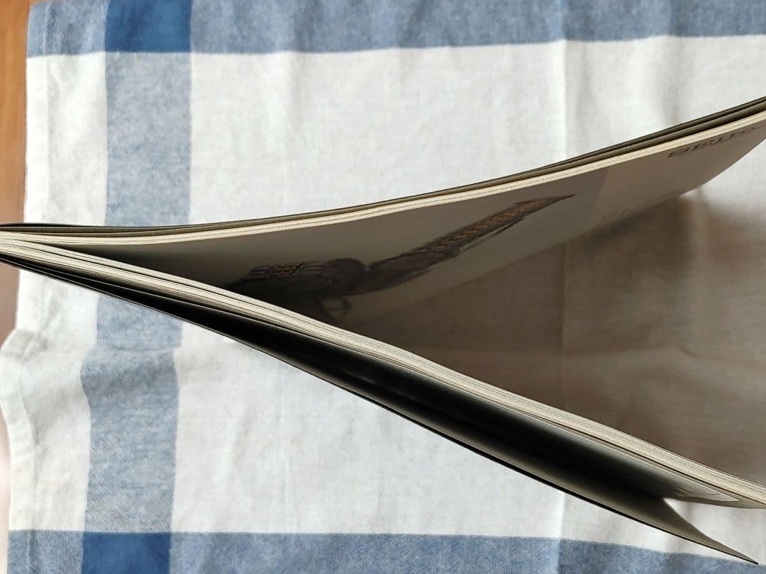 値下　カラヤン日本でのラストコンサート チケット 封筒 プログラム CD