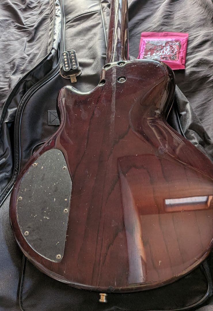 FUJIGEN・エレキギタ★SEYMOUR DUNCAN