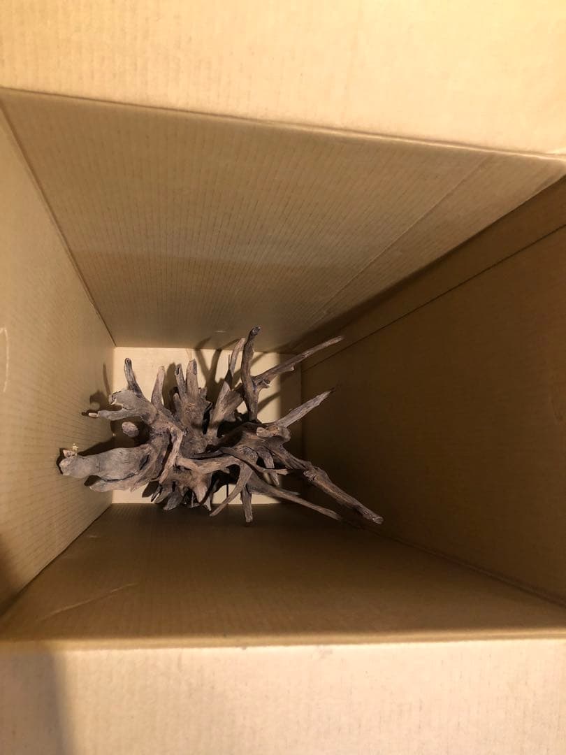 特大流木 水槽用レイアウト用品　現在交渉中