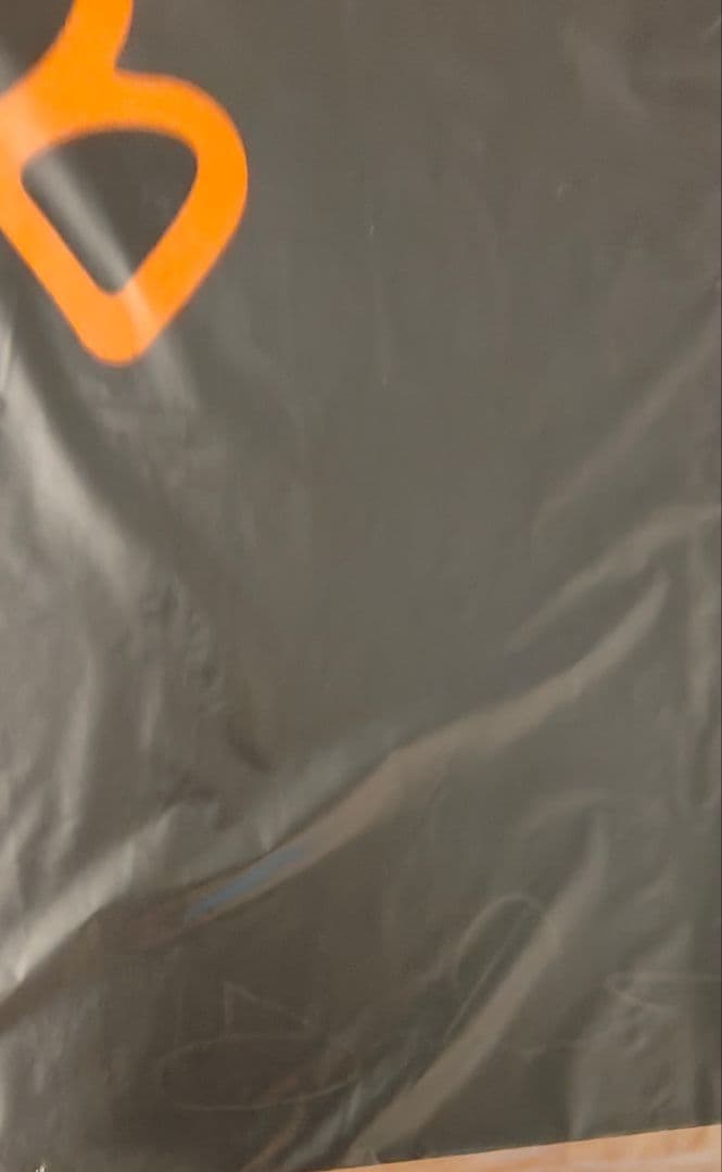 Trevor Andrew Gucci Misfits グッチ 版画 本物