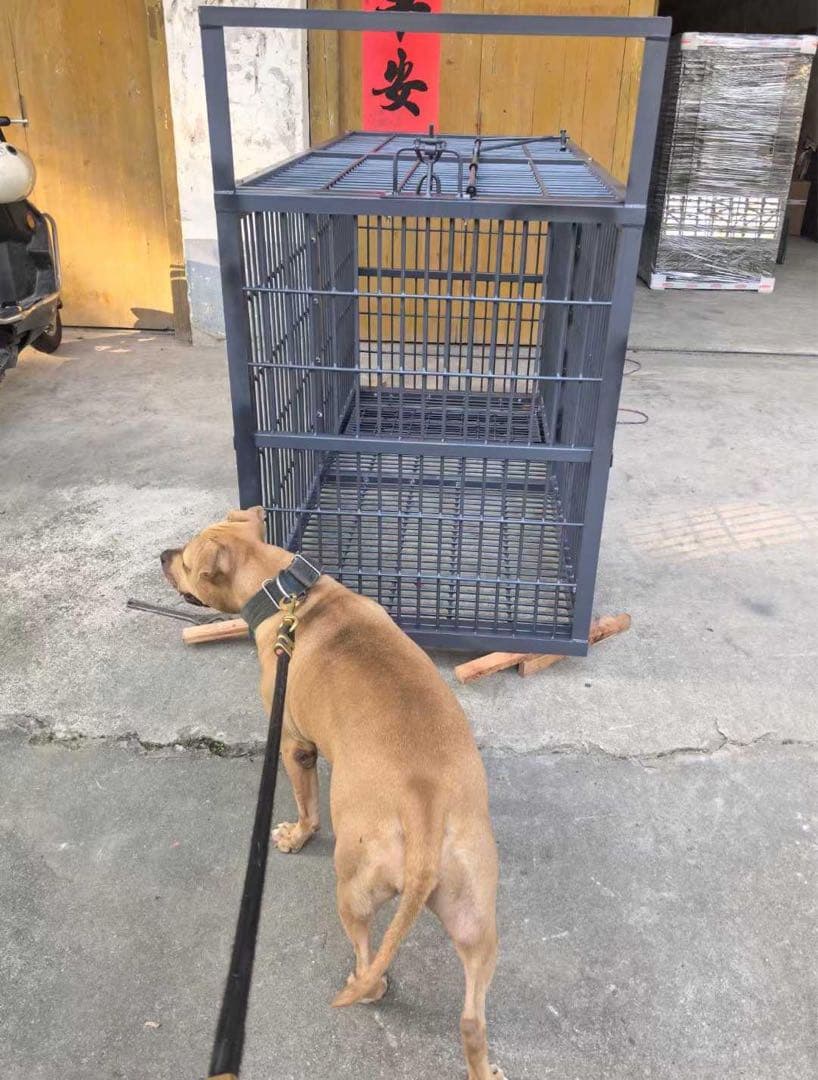 補強型 イノシシ・シカ用箱罠 犬小屋 片扉 2mx1mx1m (福山営業所止め）