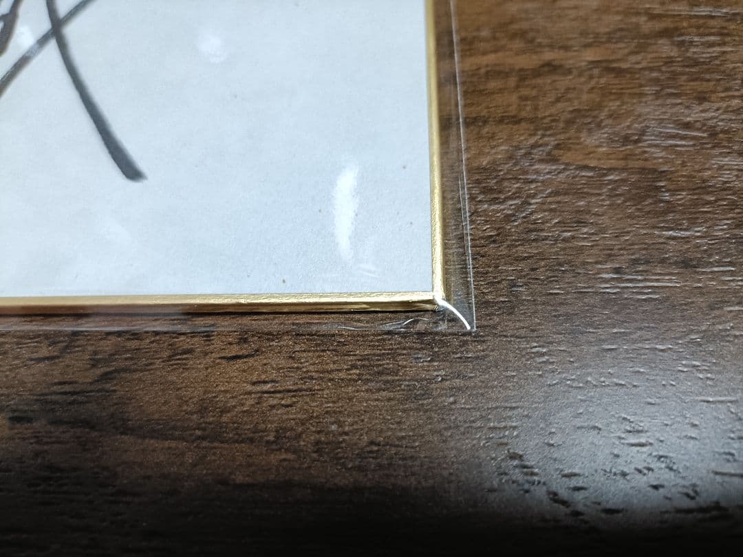 ANIL 直筆サイン色紙 (アニメタル ジャパメタ