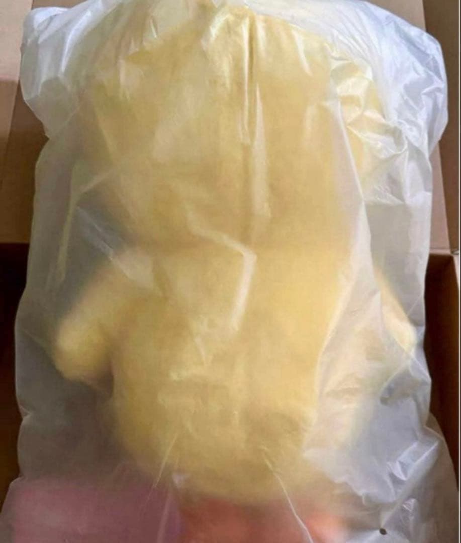 Stray Kids SKZOO PLUSH テディベア Ver.ポガ