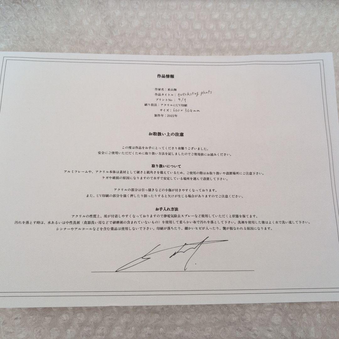 米山舞　everlasting plants
