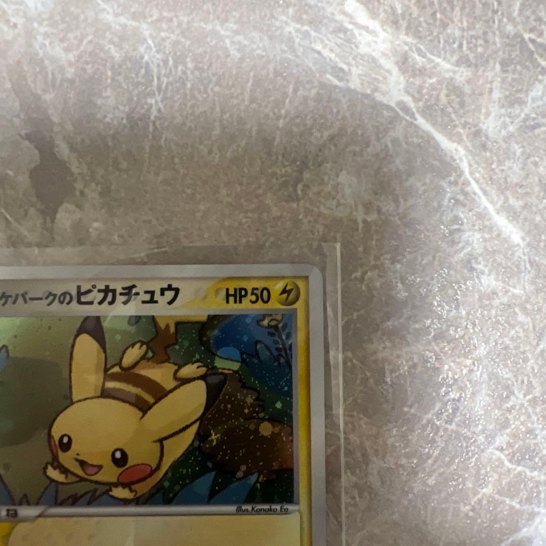 ポケパークのピカチュウ HP50 ホロカード