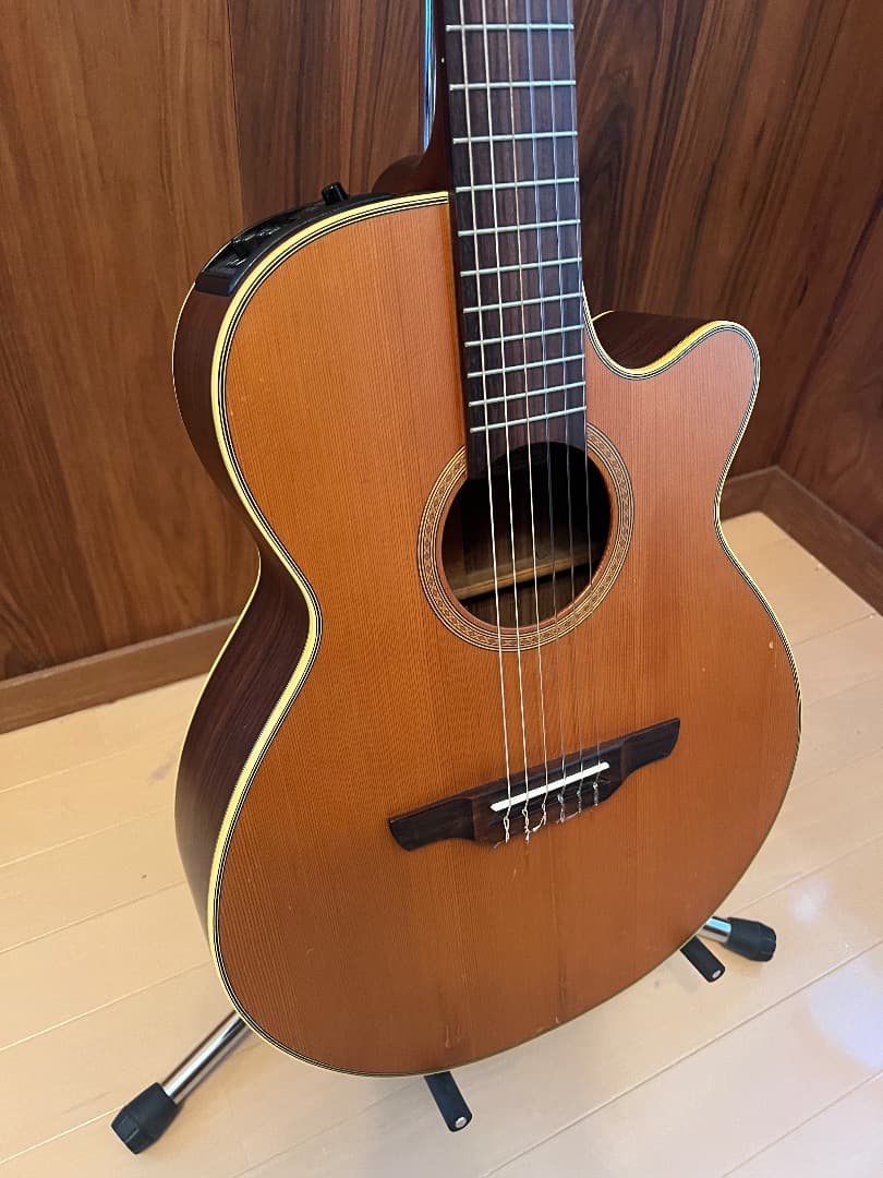TAKAMINE NPT-110 エレガット