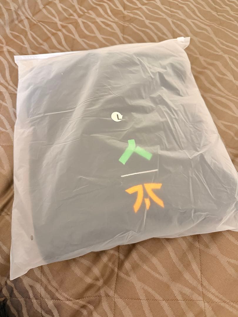 FNATIC×AllianceパーカーALGS札幌限定 限定コラボパーカー　L