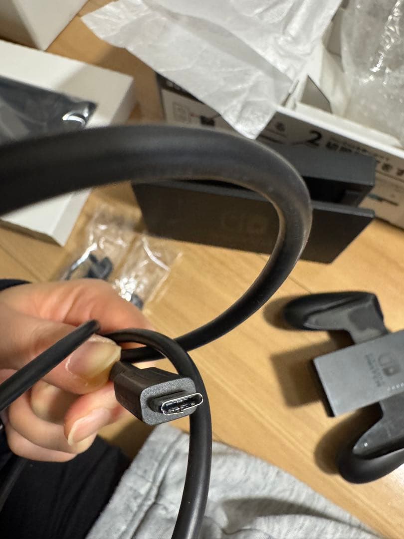 Nintendo Switch 本体　ドッグ　セット