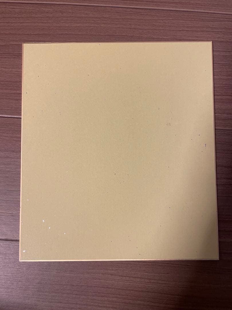 希少ドラゴンボール悟空 豪華サイン色紙2枚