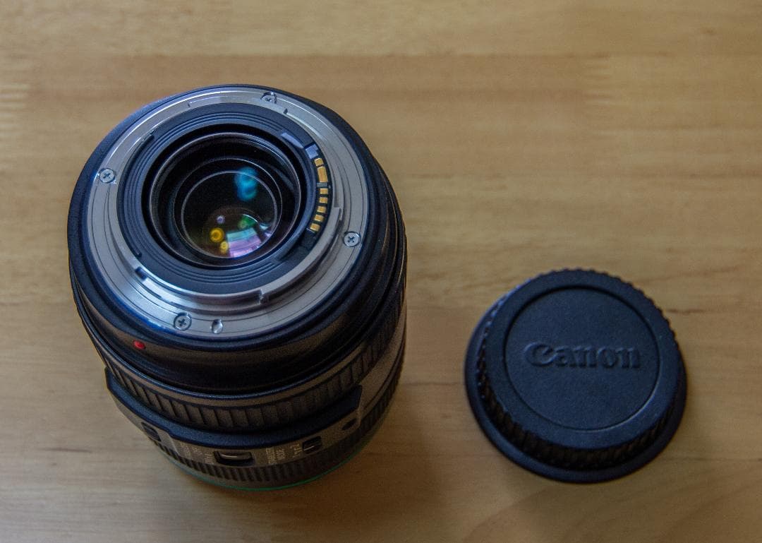 Canon 望遠ズームレンズ EF70-300mm DO IS USM
