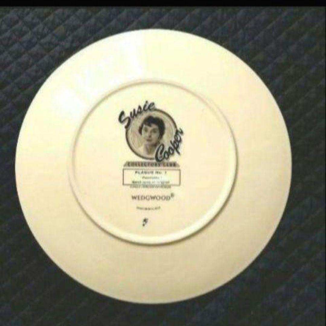 ほぼ未使用、スージークーパー、コレクターズクラブ「パノラマ」直径３１cm大皿