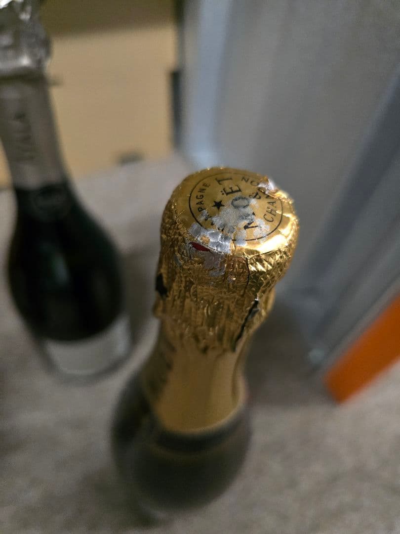 シャンパーニュ 750ml 2本セット