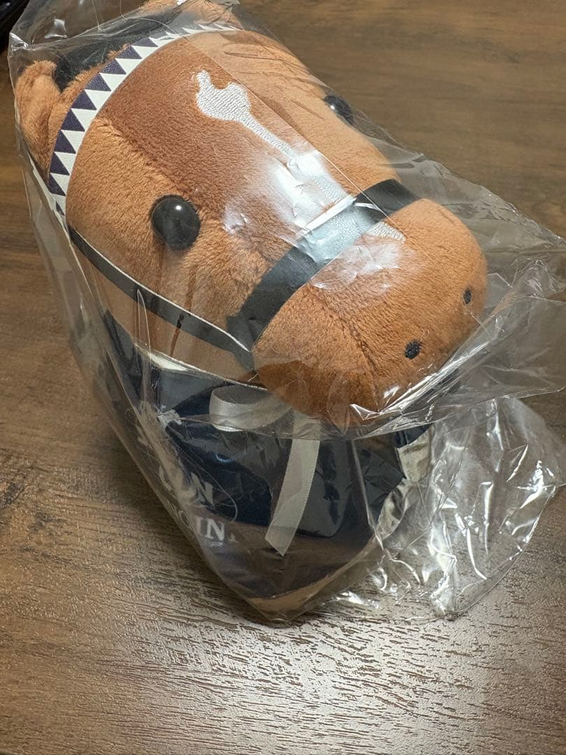 ドウデュース　ジャパンカップ　welcomeチャンス　アイドルホース