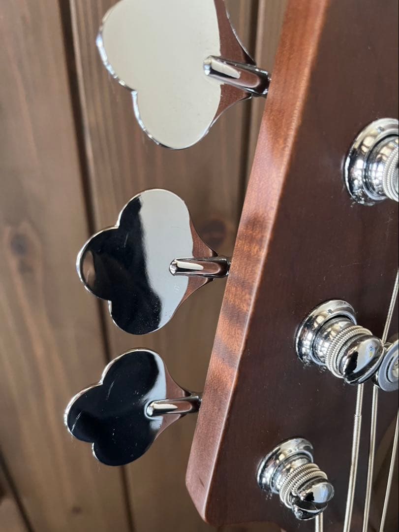 Bacchusのエレキベース WL4-AGED/RSM