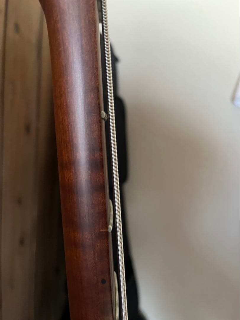 Bacchusのエレキベース WL4-AGED/RSM