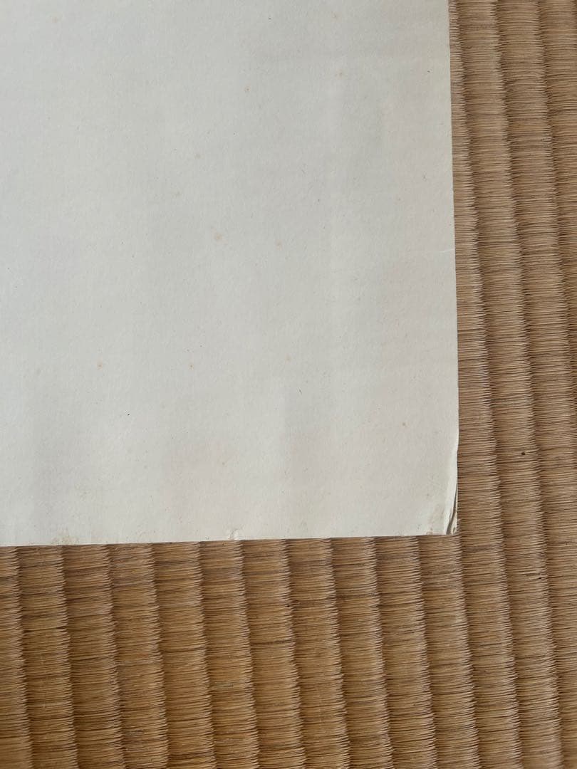 coop! シルクスクリーンポスター