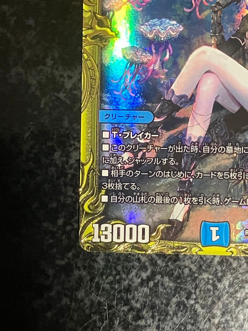 水上第九院 シャコガイル b