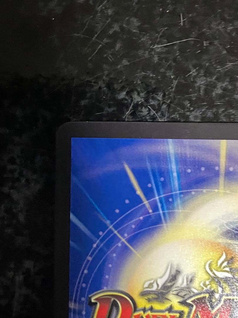 水上第九院 シャコガイル b