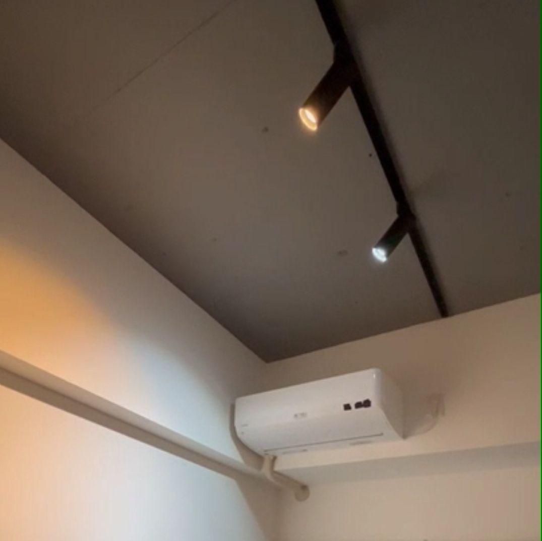 ダクトレール用 エジソンスマートスポットライト