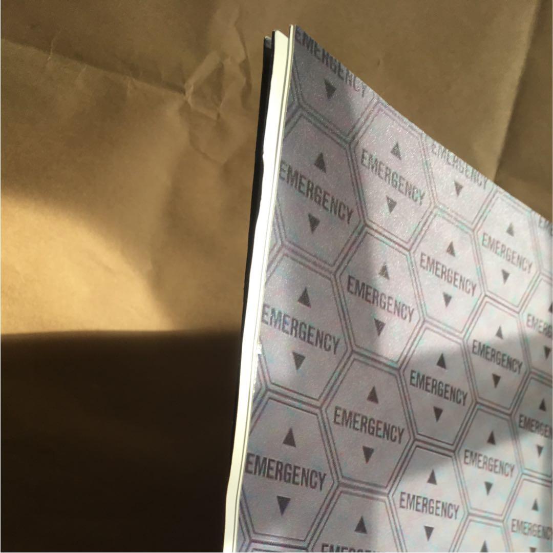 超特大エヴァンゲリオン CR10周年 カタログ   ポスター  ヱヴァ