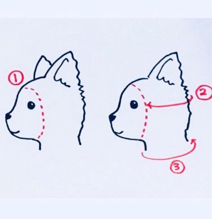 大きめサイズ 大好評♪ 手編み■ 犬 スヌード ■ ボストンテリア ニット帽