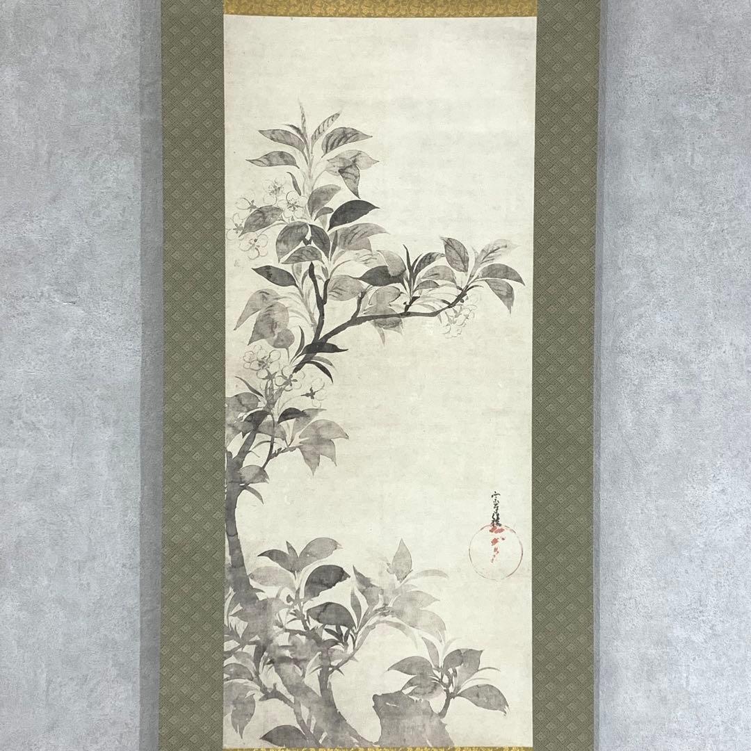 掛軸 俵屋宗達 桜図 木箱 複製画 工芸 水墨画 花 春 5-29