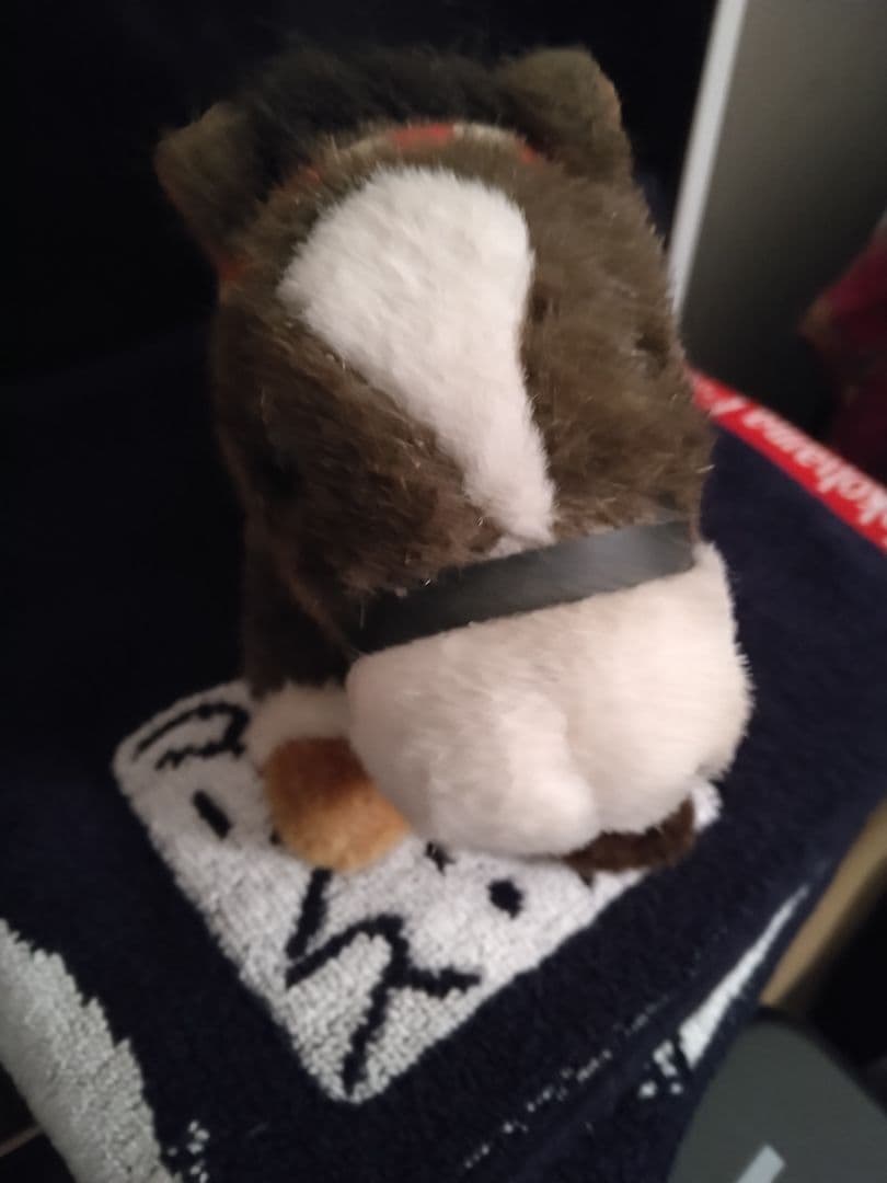 トウカイテイオー　AVANTI 　ぬいぐるみ