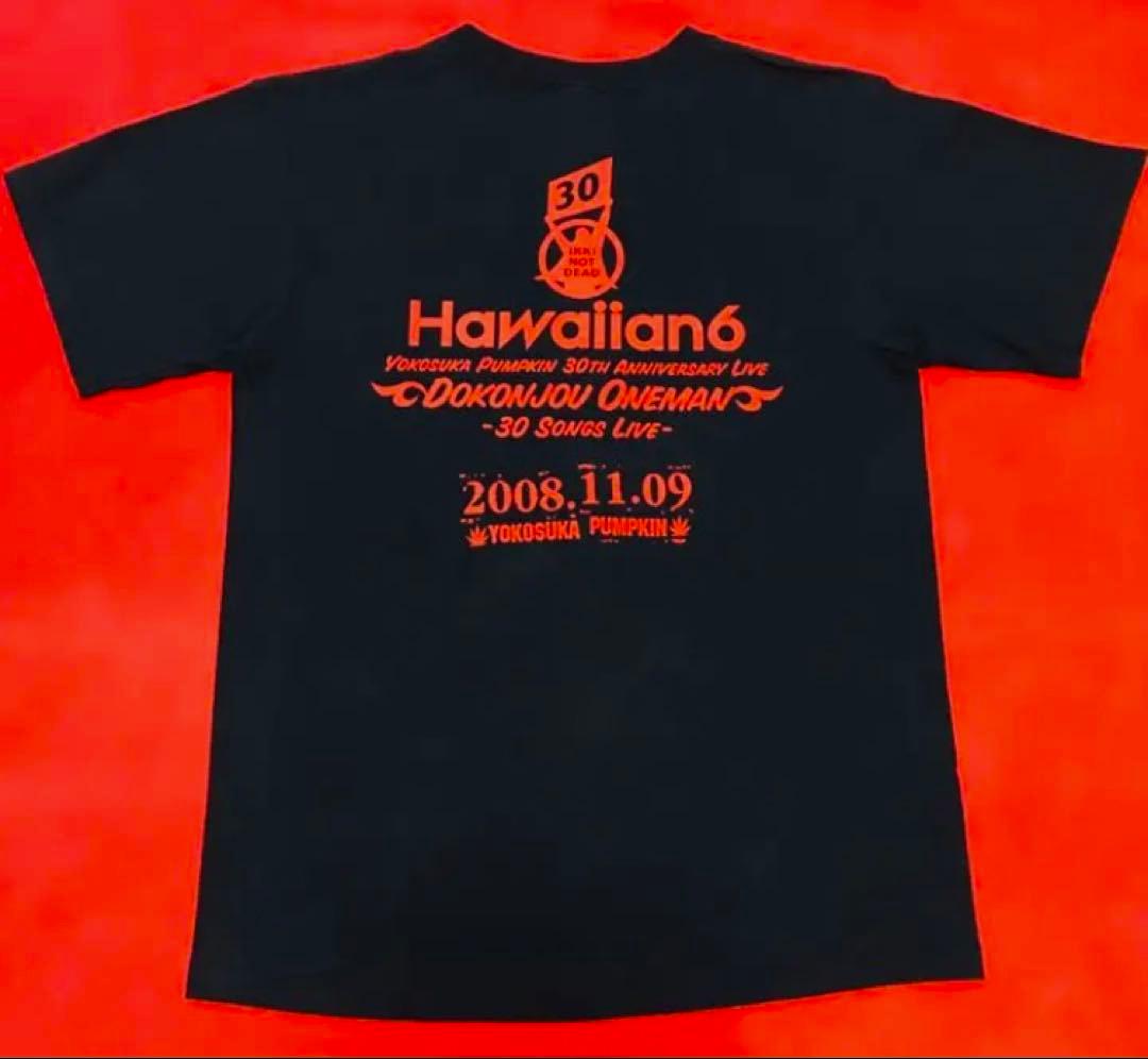 HAWAIIAN6『ド根性ワンマン』TシャツM 横山 健KEN YOKOYAMA