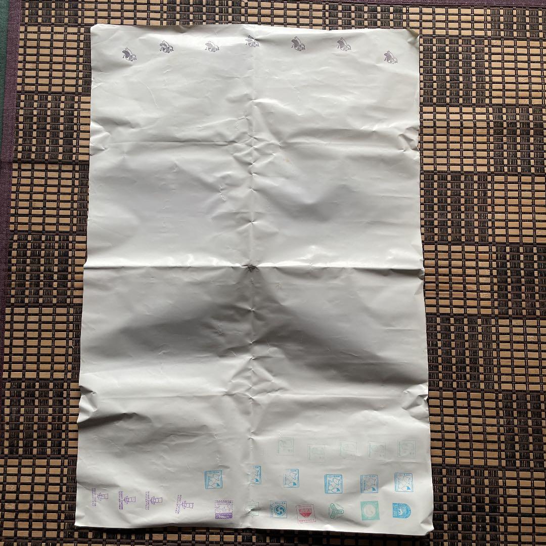 2005年愛知万博 スリランカ館ポスターシギリヤ美女壁画