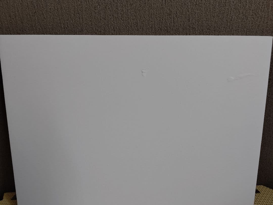 PARADISES HMVライブフォトパネル