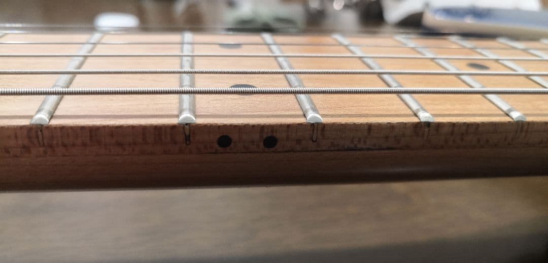 Bacchus エレキギター ローステッドメイプル指板