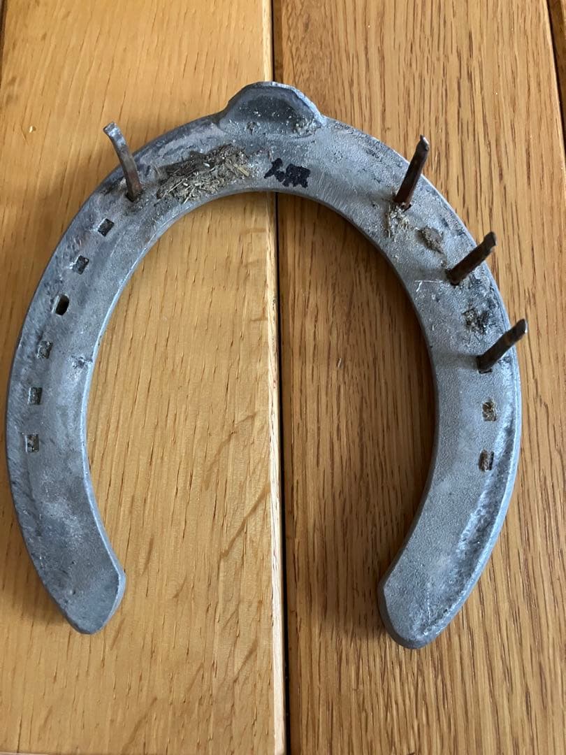 イクイノックス　実使用　調教　蹄鉄　鬣　一本付き　②