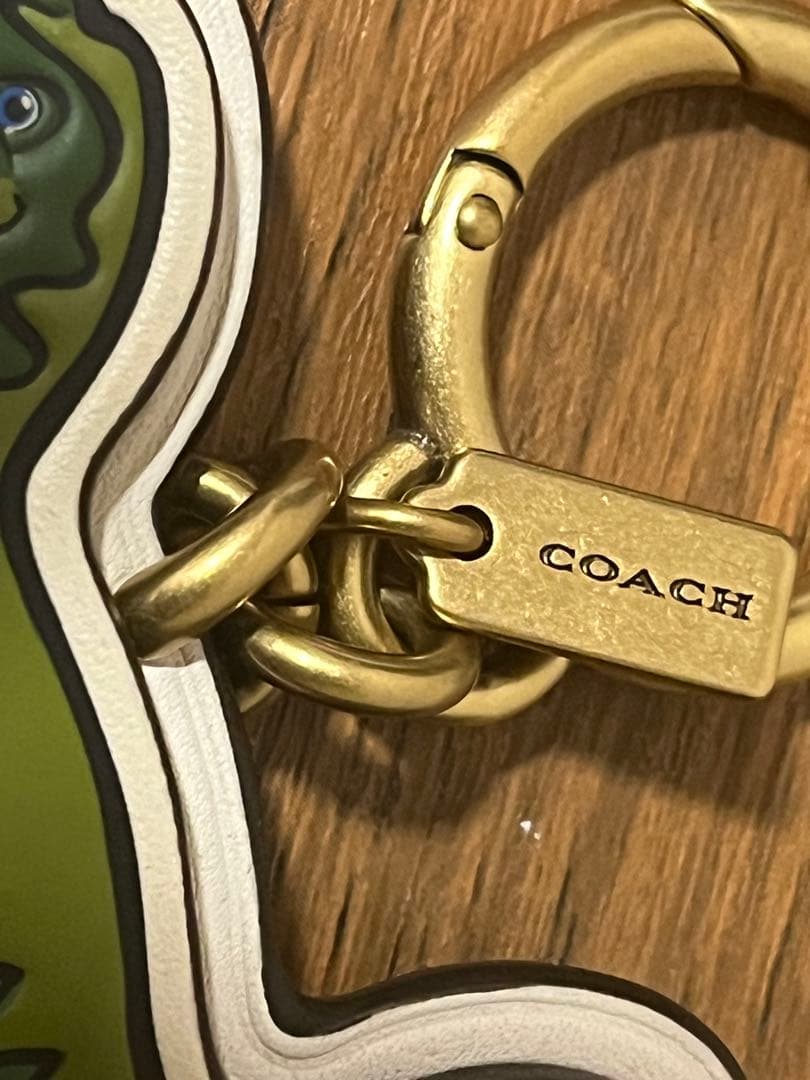 kinaco コーチのレキシー バッグ チャーム・シグネチャー キャンバス