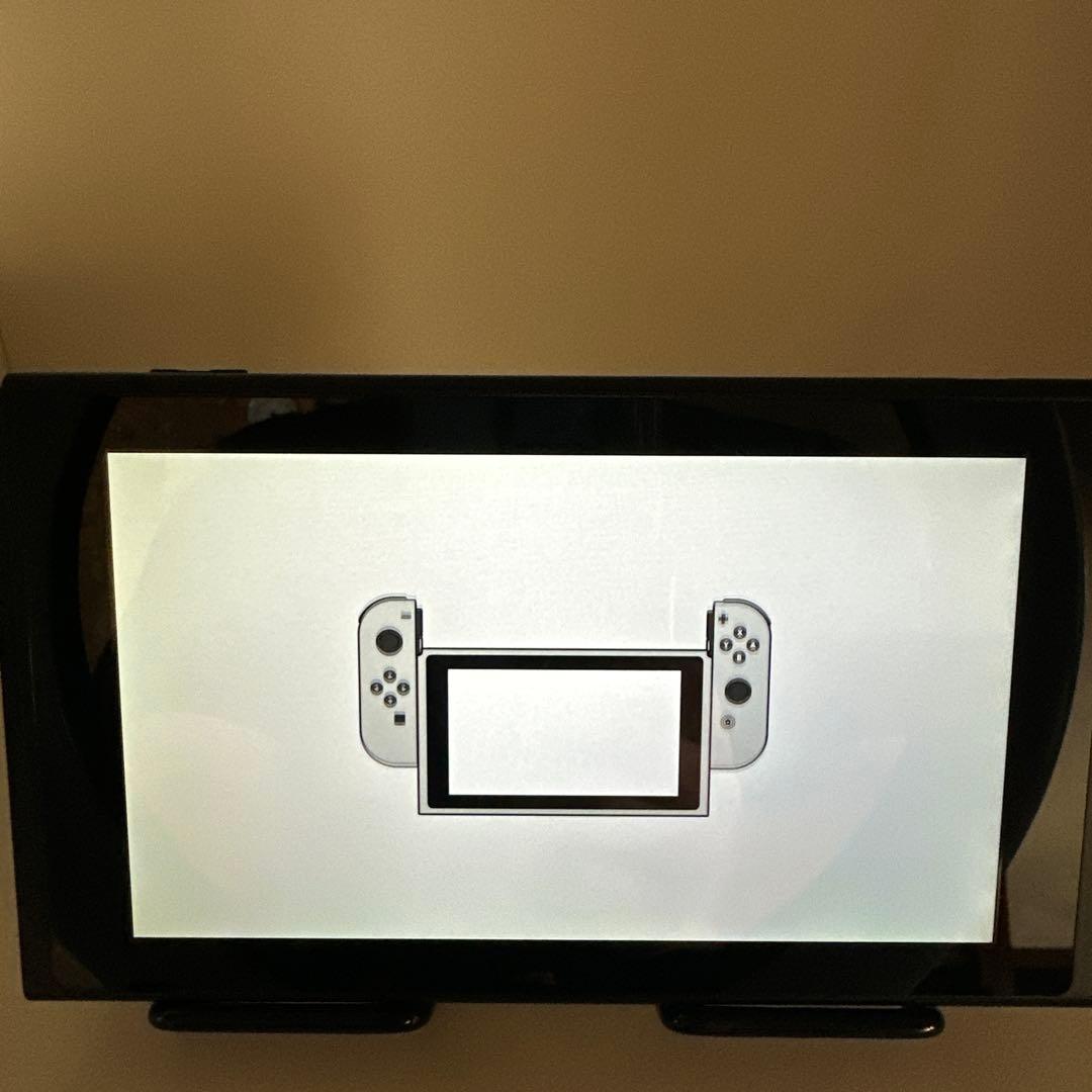 ※えみすてり　Nintendo Switch 2017年製