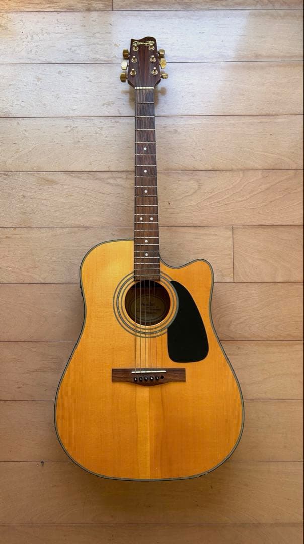 Fender starcaster nat エレアコ ギター