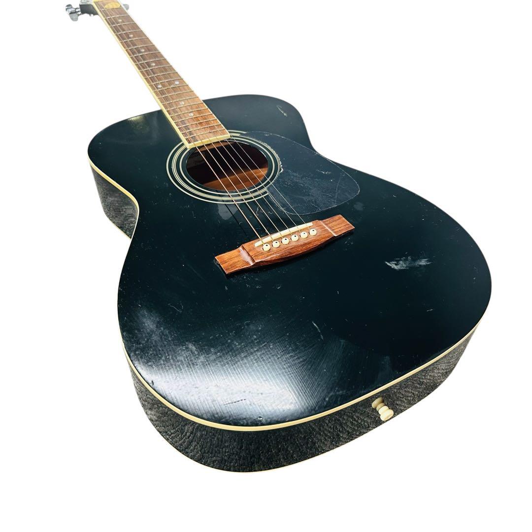 TAKAMINE タカミネ　アコースティックギター　T-F1